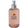 Body Bistro Apricot and Clove Cleansing Gelle