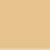 Dermablend Acne Results Foundation- Golden - 1.5 oz